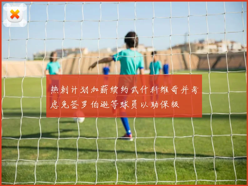 热刺计划加薪续约武什科维奇并考虑免签罗伯逊等球员以助保级